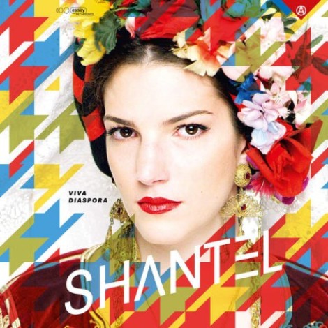 Shantel - Viva Diaspora (2015) [FLAC]