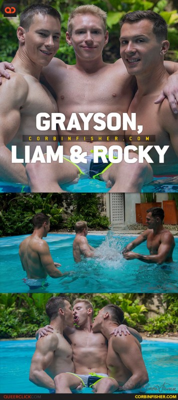 [Image: 0ee5a0a1f2d6862b00071868617e9e8b.jpg]