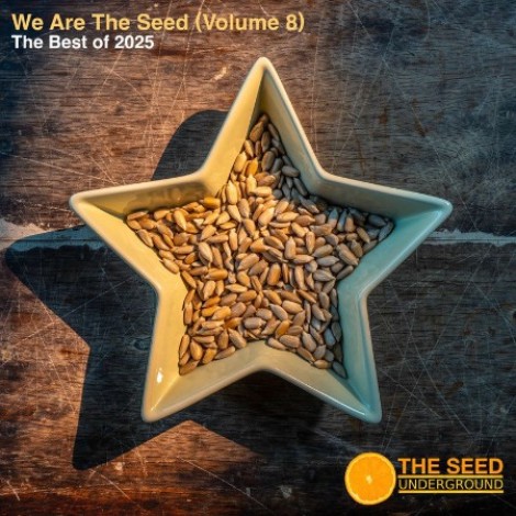 VA - We are The Seed The Best of The Seed (2025) Volume 8 23.01.(2026) [MP3]