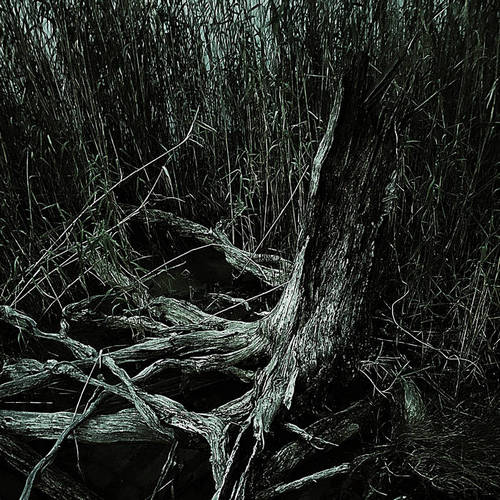 (Death/Black Metal) Flittering - Usurped - 2026,...