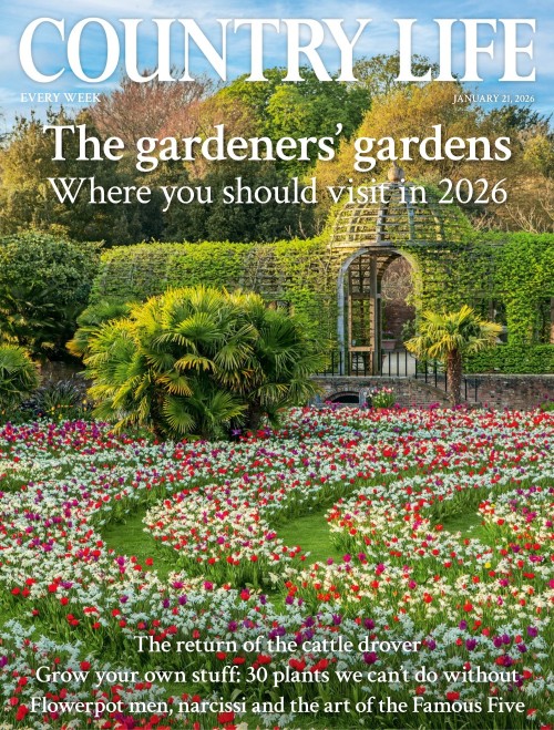 Country Life UK - January 21, 2026