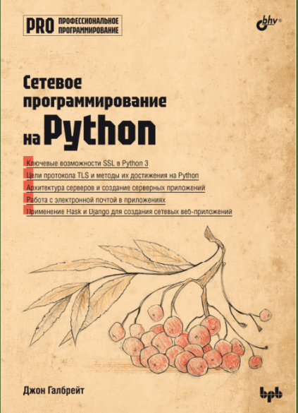 Сетевое программирование на Python (2024)