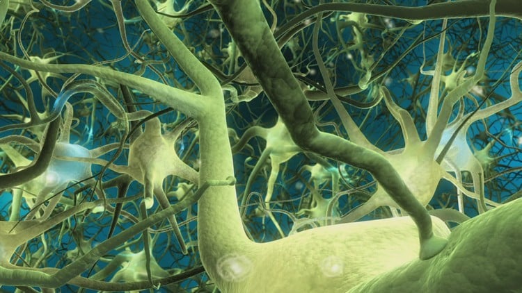 [Obrazek: 216b1e15c4bca6f901d12a46bdb4df93.jpg]