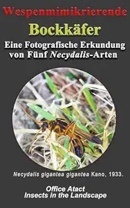 Wespenmimikrierende Bockkäfer  Eine Fotografische Erkundung von Fünf Necydalis-Arten (Insect in the Landscape)