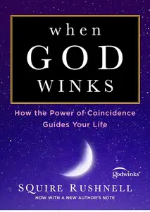 When God Winks How the Power of Coincidence Guides Your Life (The Godwink Series)