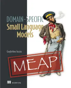 Domain Specific Small Language Models (MEAP V08)