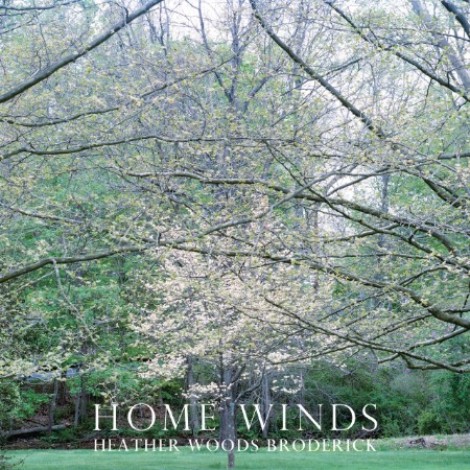Heather Woods Broderick - Home Winds (2017) flac]