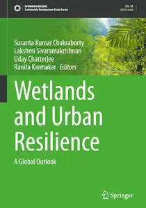Wetlands and Urban Resilience A Global Outlook (Sustainable Development Goals Series)