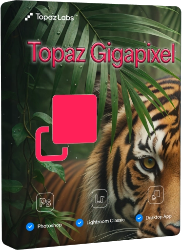 Topaz Gigapixel 1.1.1 [Multi]