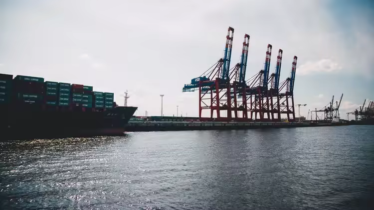 [Obrazek: 287289ed6db950acbf62e3549319ebc8.avif]