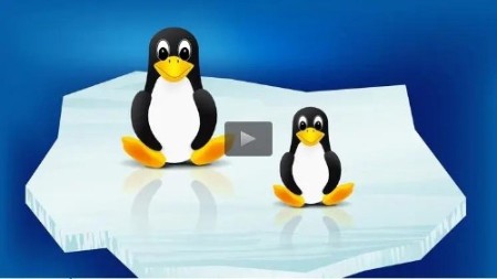 Udemy – Kali Linux - Complete Training Program from Scratch