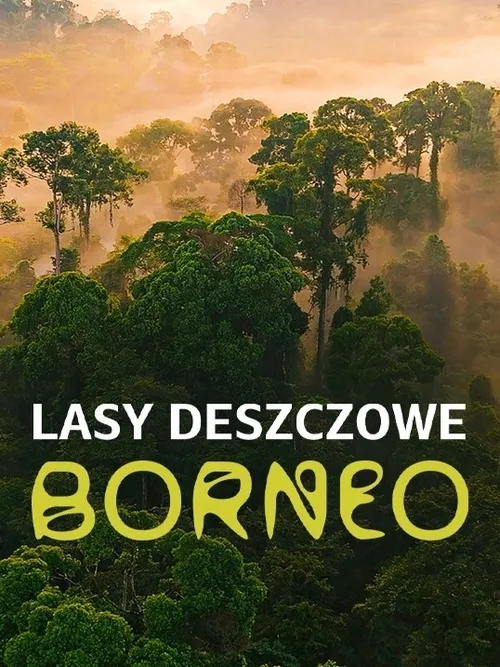 PL - Lasy deszczowe Borneo   (2025)