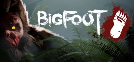 Bigfoot Hunting