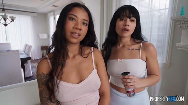 Ameena Green, Beca Barbie - The Best Tenants [SD 480p]