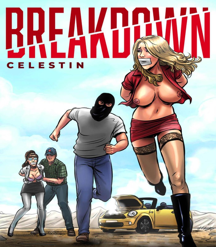 Celestin - Breakdown 1 Porn Comics