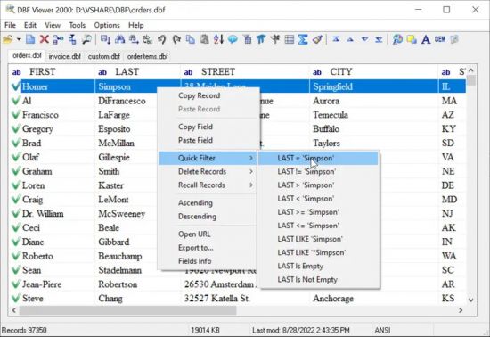 DBF Viewer 2000 v8.97 Multilingual