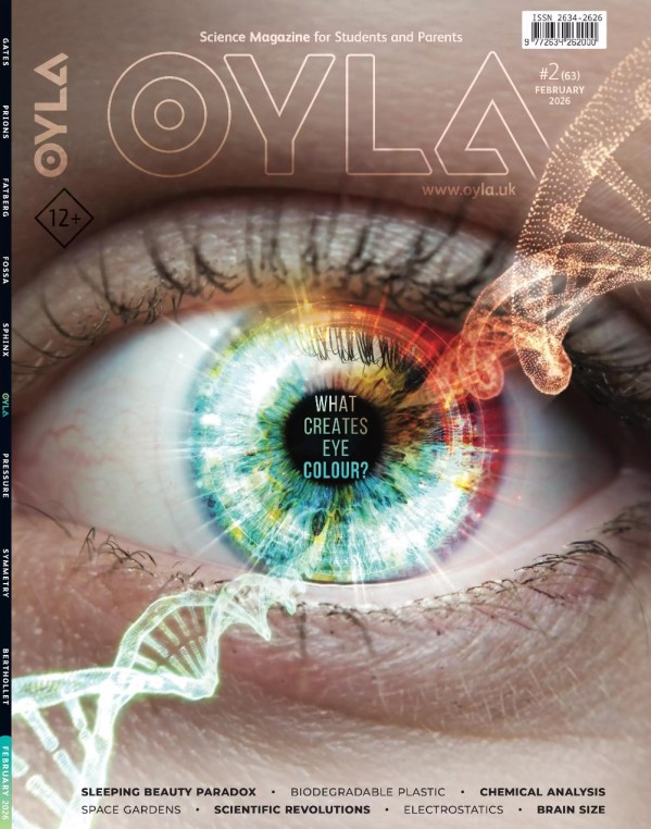 OYLA Magazine - Issue 2 February 2026