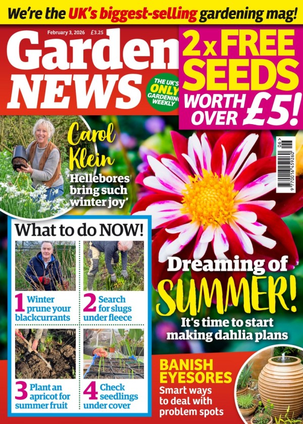 Garden News - 03 February 2026