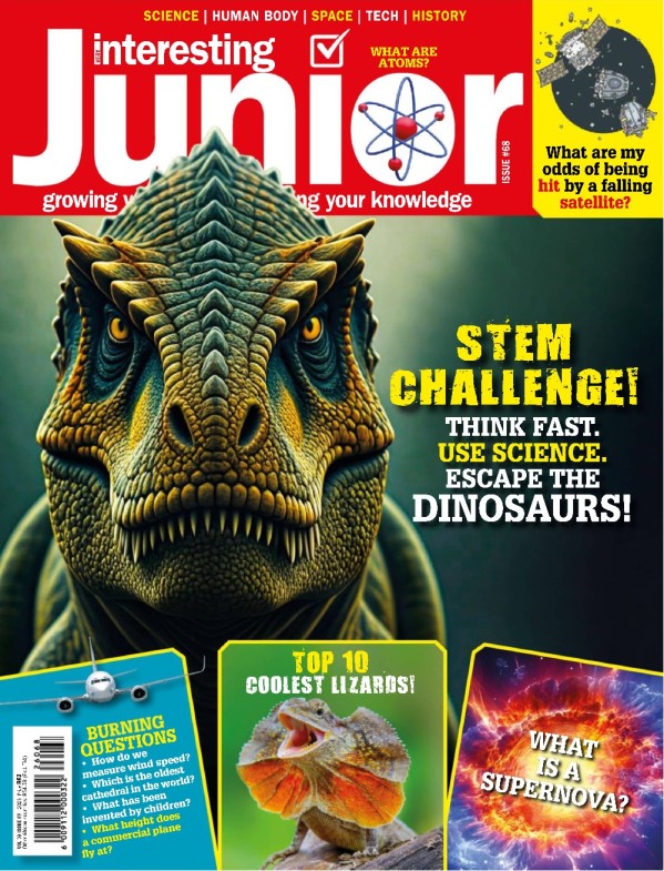 Very Interesting Junior - Issue 68, November 2025