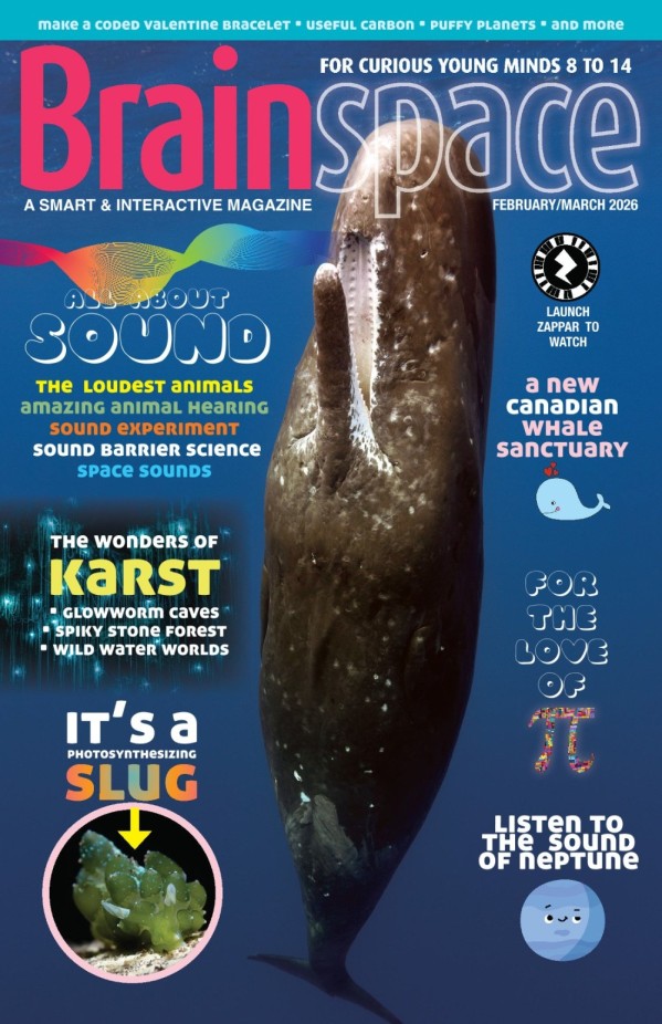 Brainspace - February/March 2026
