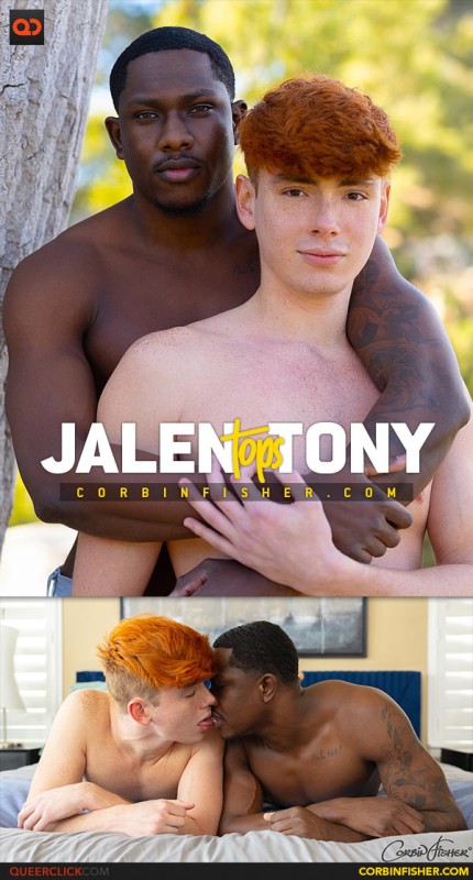 [Image: f5bc362f0c15eb49701a4ac046942752.jpg]