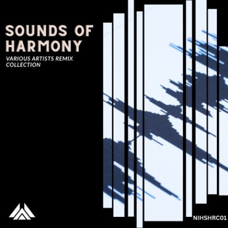 VA - Sounds of Harmony Remix Collection [NIHSHRC01] (2026) mp3]