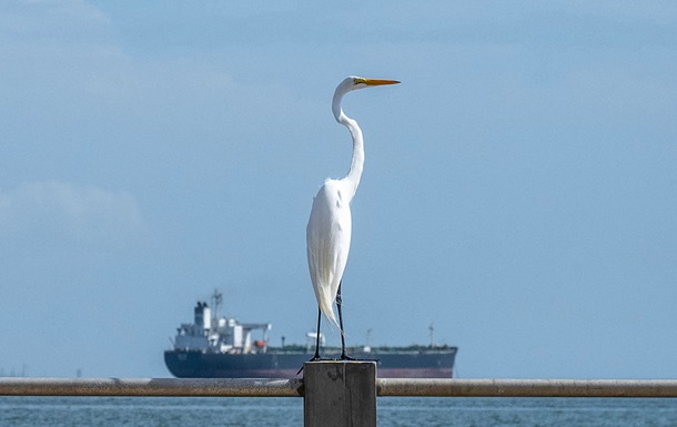Индия закупила два миллиона баррелей венесуэльской нефти - СМИ