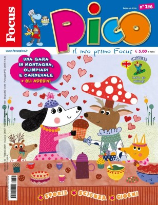 Focus Pico - Febbraio 2026