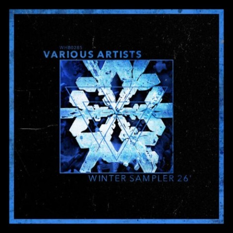 VA - Winter Sampler 26' (2026) mp3]