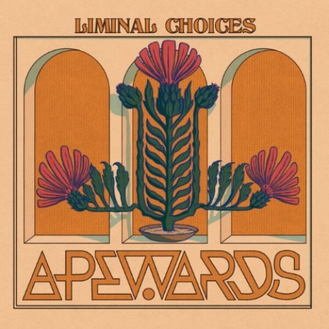 Apewards - Liminal Choices (2025) flac]