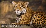 Best Mixture Wallpapers Collection 64