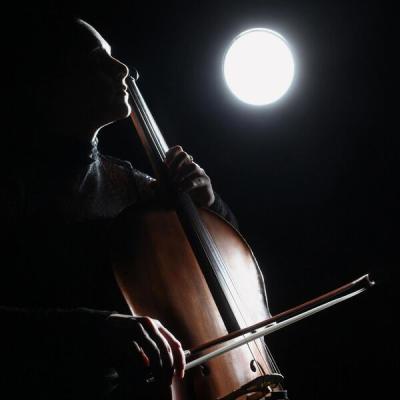 Various Artists - gut-wrenchingly beautiful pieces of classical music (2025) [FLAC 16B-44.1kHz]