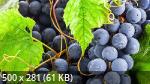 Mixturka - Wallpapers Collection 208