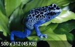 Mixturka - Wallpapers Collection 208