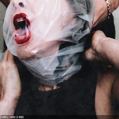 Dying Wish - Flesh Stays Together (2025)