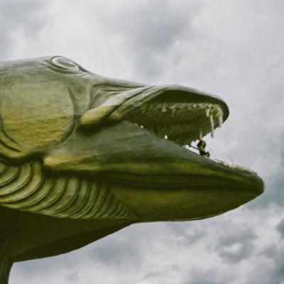 Léna Bartels - The Brightest Silver Fish (2025) [FLAC 24B-48kHz]