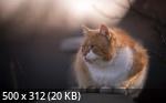 Mixturka - Wallpapers Collection 210
