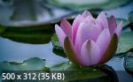 Mixturka - Wallpapers Collection 210