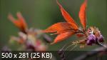 Mixturka - Wallpapers Collection 211