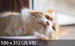 Mixturka - Wallpapers Collection 211