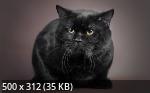 Mixturka - Wallpapers Collection 212