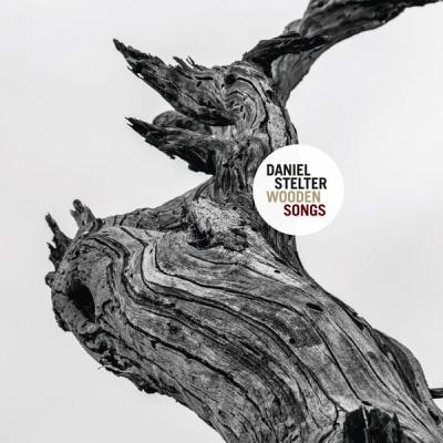 Daniel Stelter - Wooden Songs (2025) [FLAC 24B-44.1kHz]