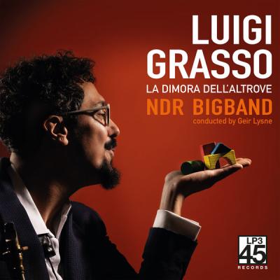 Luigi Grasso - LA DIMORA DELL'ALTROVE- TWO THEMES AND VARIATIONS (2025) [FLAC 24B-48kHz]