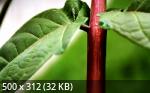 Best Wallpapers Mix Collection 19