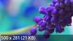 Best Mixture Wallpapers Collection 67