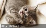 Mixturka - Wallpapers Collection 214