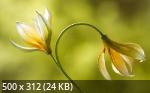 Best Wallpapers Mix Collection 20