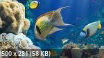 Best Mixture Wallpapers Collection 69