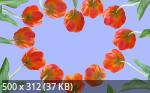 Best Mixture Wallpapers Collection 69