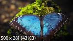 Best Wallpapers Mix Collection 22